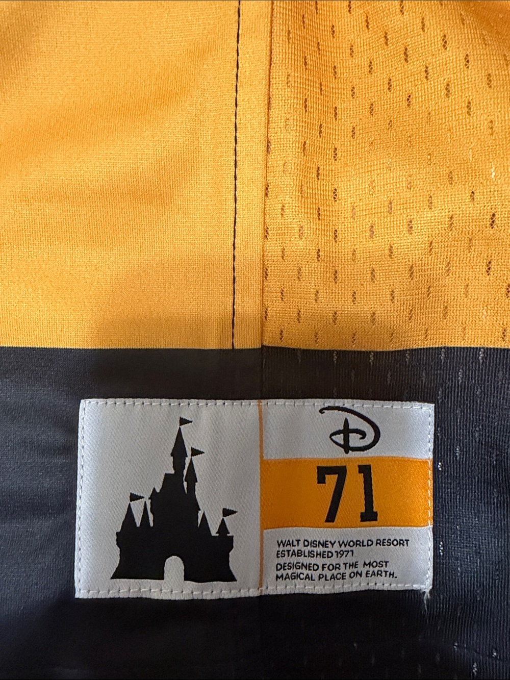Walt Disney World Pluto Jersey - Picture 2 of 5